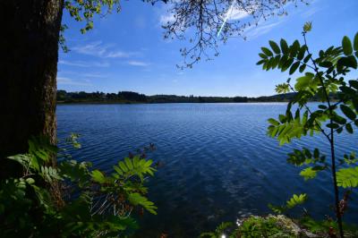 fAu_bord_du_lac_de_Butgenbach